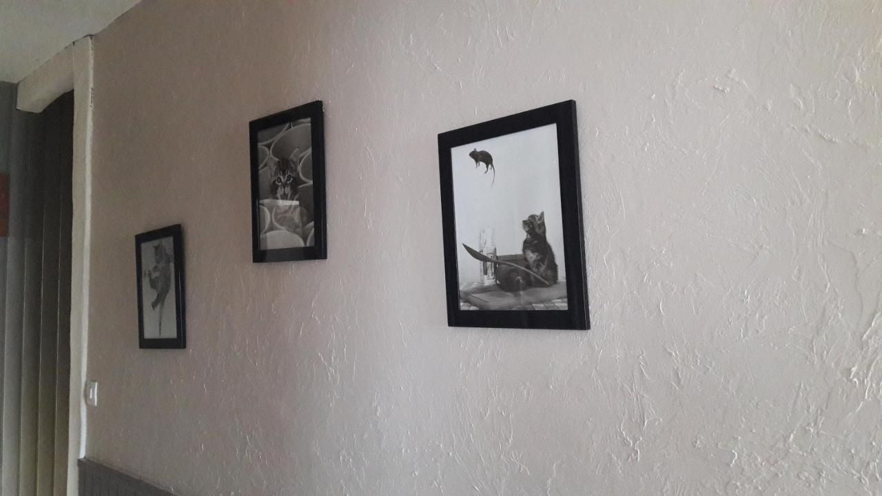 chambre d'hôte - La ruche des Bleuets Mulsanne Extérieur photo